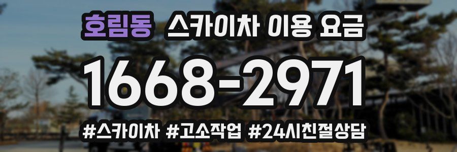 호림동 스카이차 이용 요금