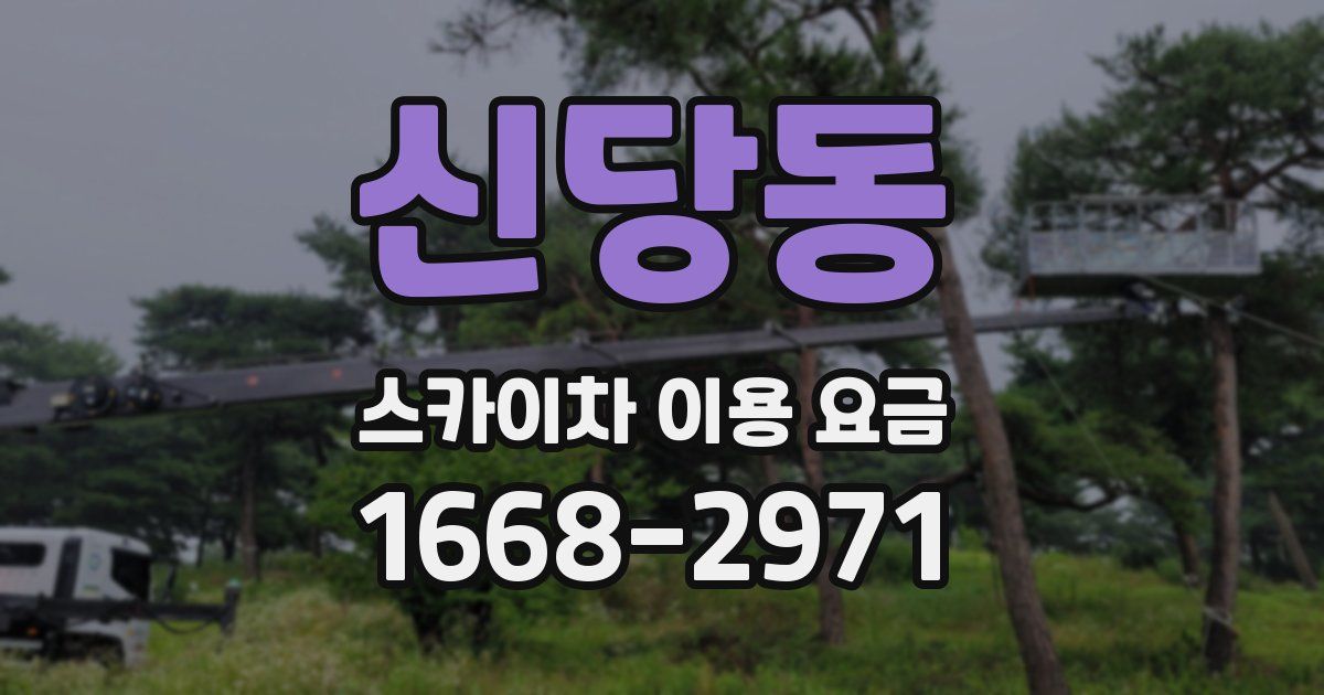 신당동 스카이차 이용 요금
