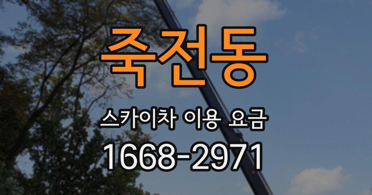 죽전동 스카이차 이용 요금