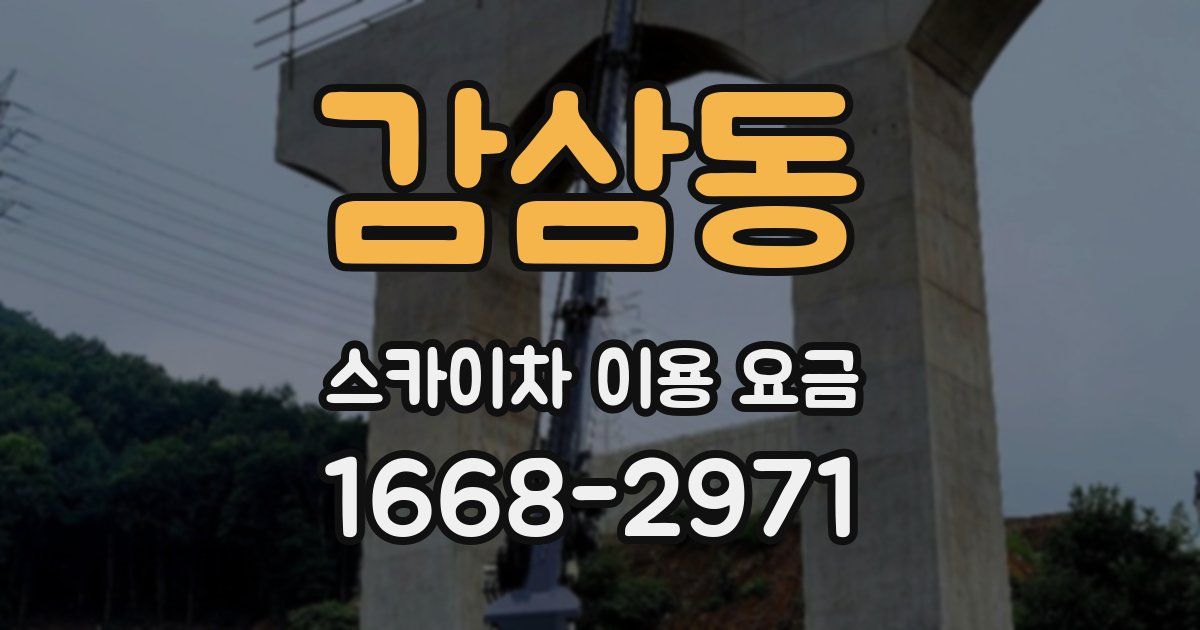 감삼동 스카이차 이용 요금