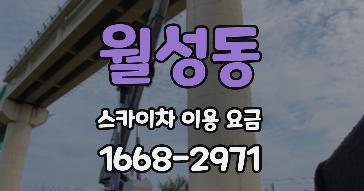월성동 스카이차 이용 요금