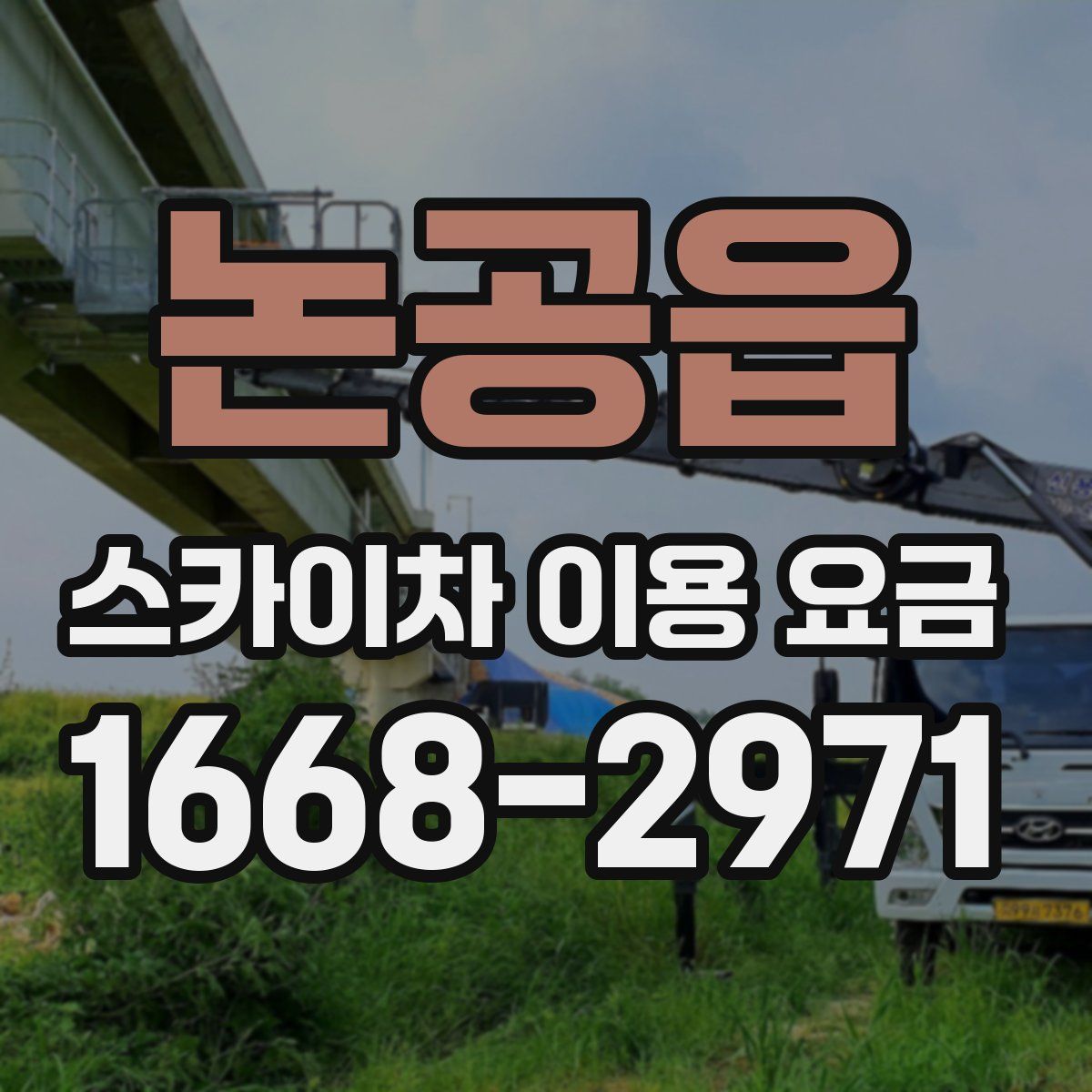 논공읍 스카이차 이용 요금
