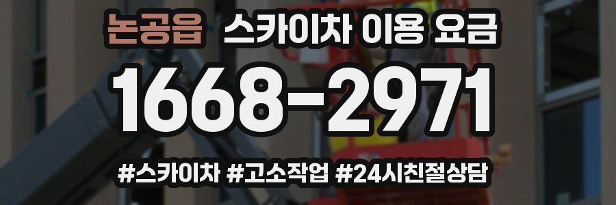 논공읍 스카이차 이용 요금