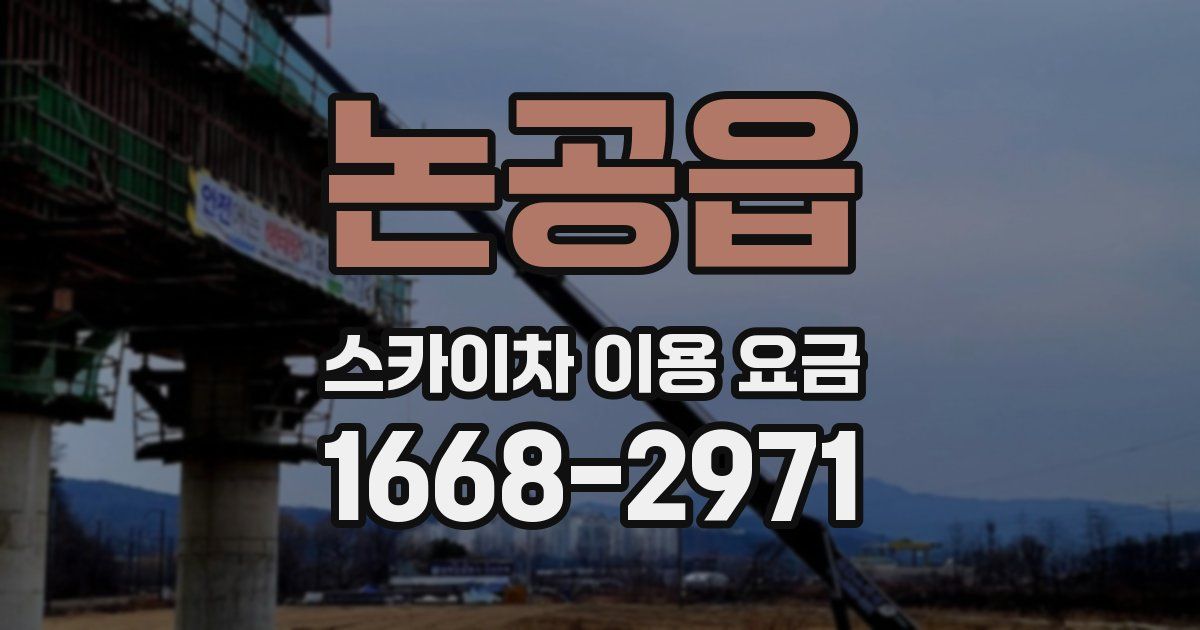 논공읍 스카이차 이용 요금