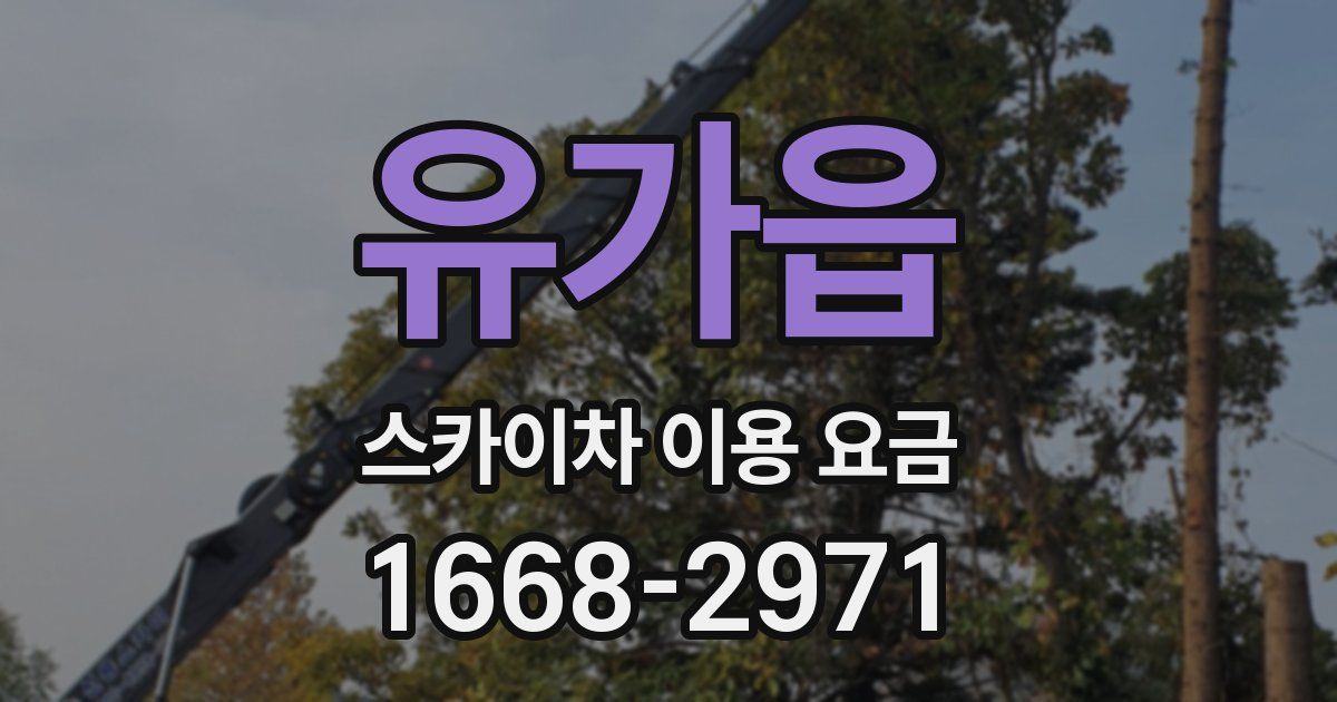 유가읍 스카이차 이용 요금