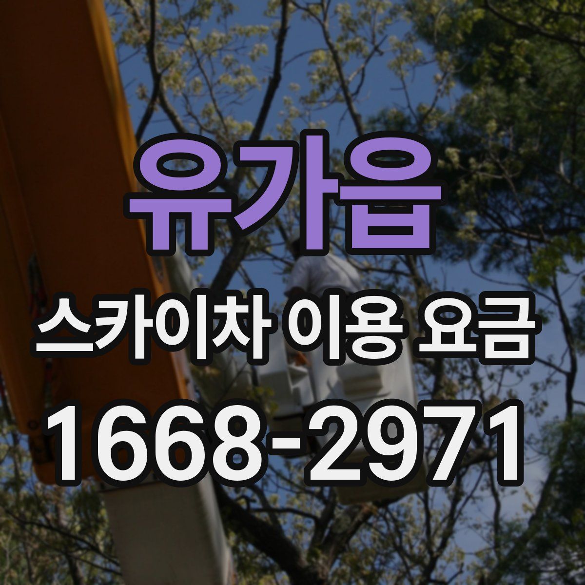 유가읍 스카이차 이용 요금