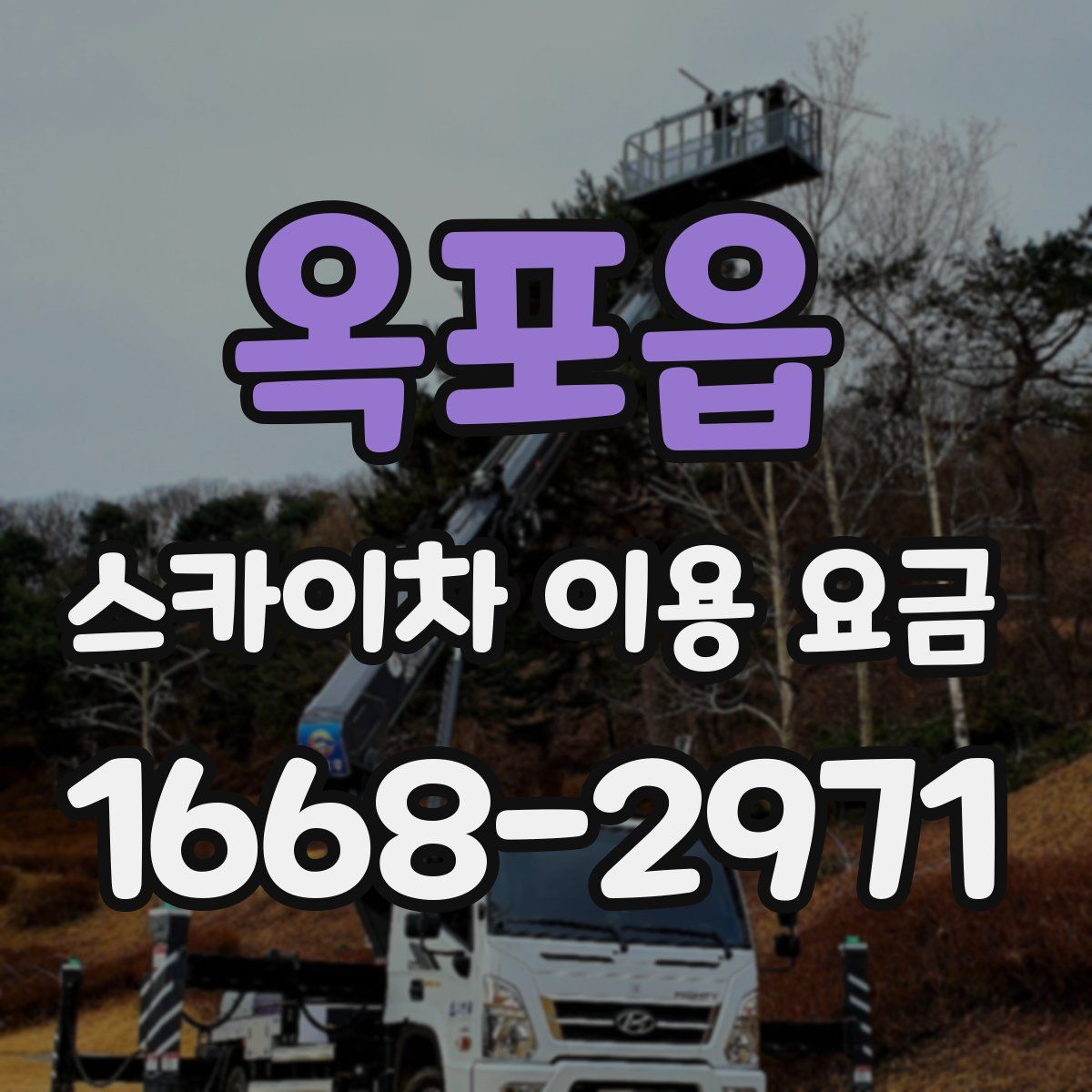 옥포읍 스카이차 이용 요금