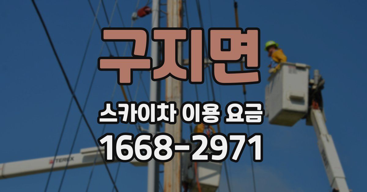 구지면 스카이차 이용 요금