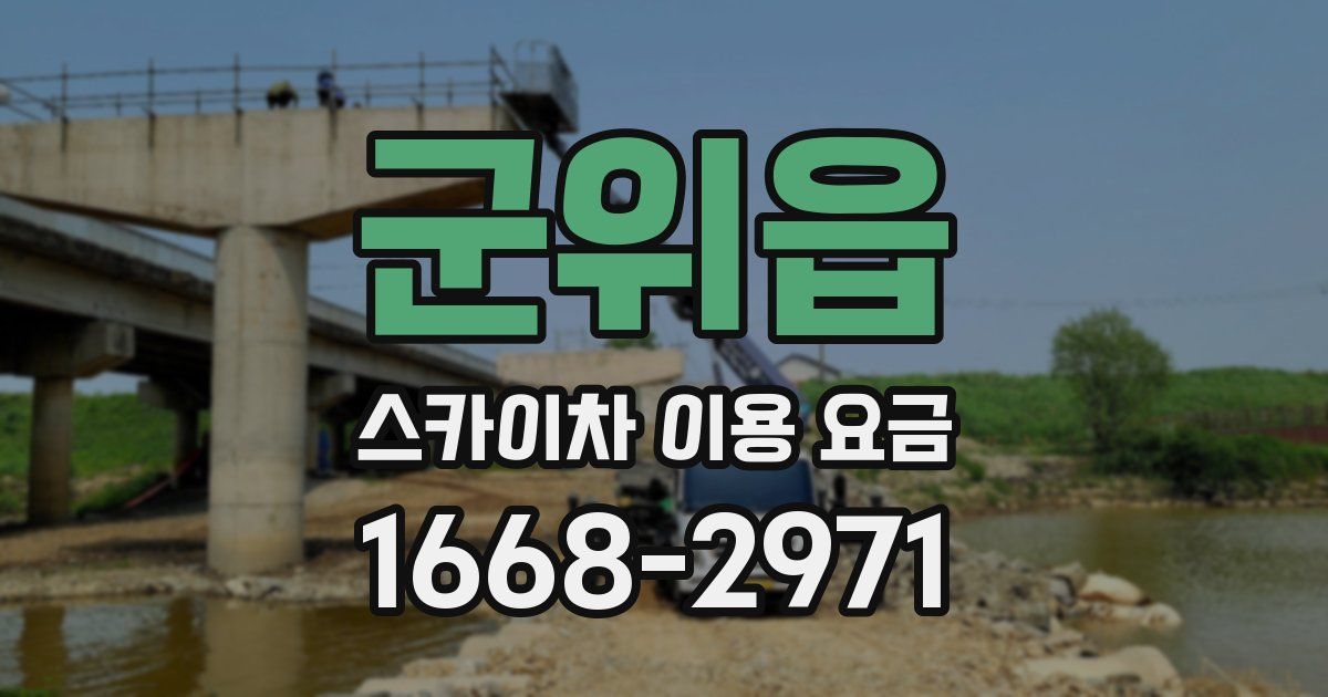 군위읍 스카이차 이용 요금