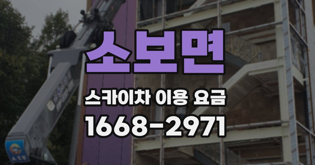 소보면 스카이차 이용 요금