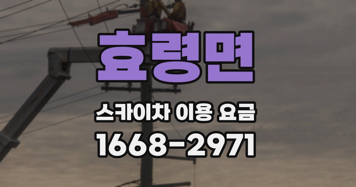 효령면 스카이차 이용 요금