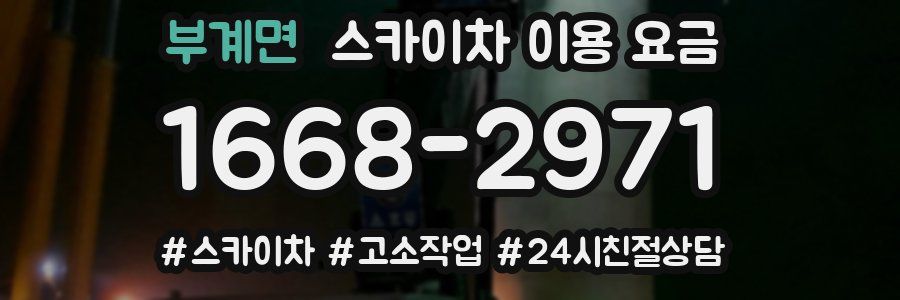 부계면 스카이차 이용 요금