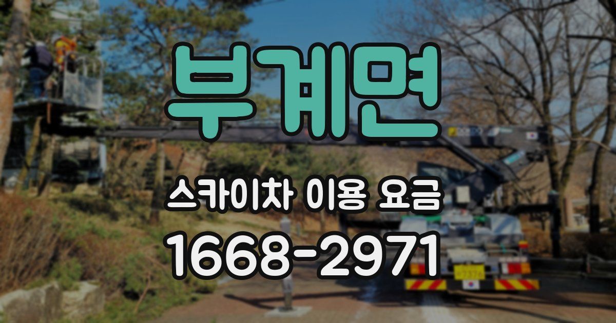 부계면 스카이차 이용 요금