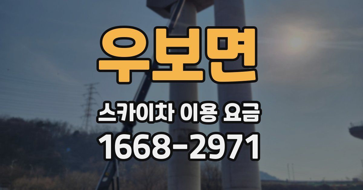 우보면 스카이차 이용 요금