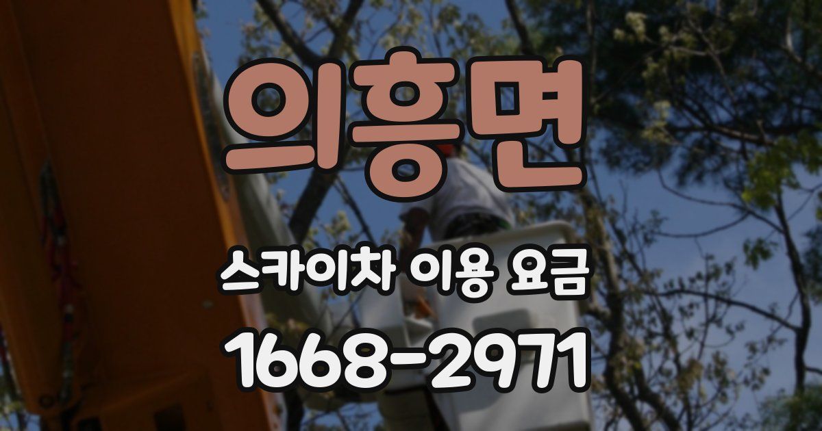 의흥면 스카이차 이용 요금