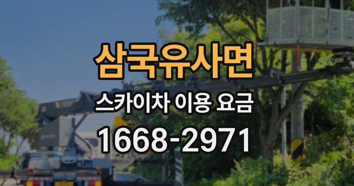 삼국유사면 스카이차 이용 요금