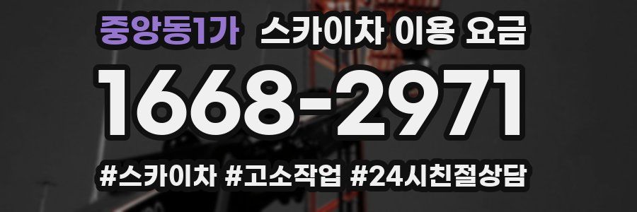 중앙동1가 스카이차 이용 요금
