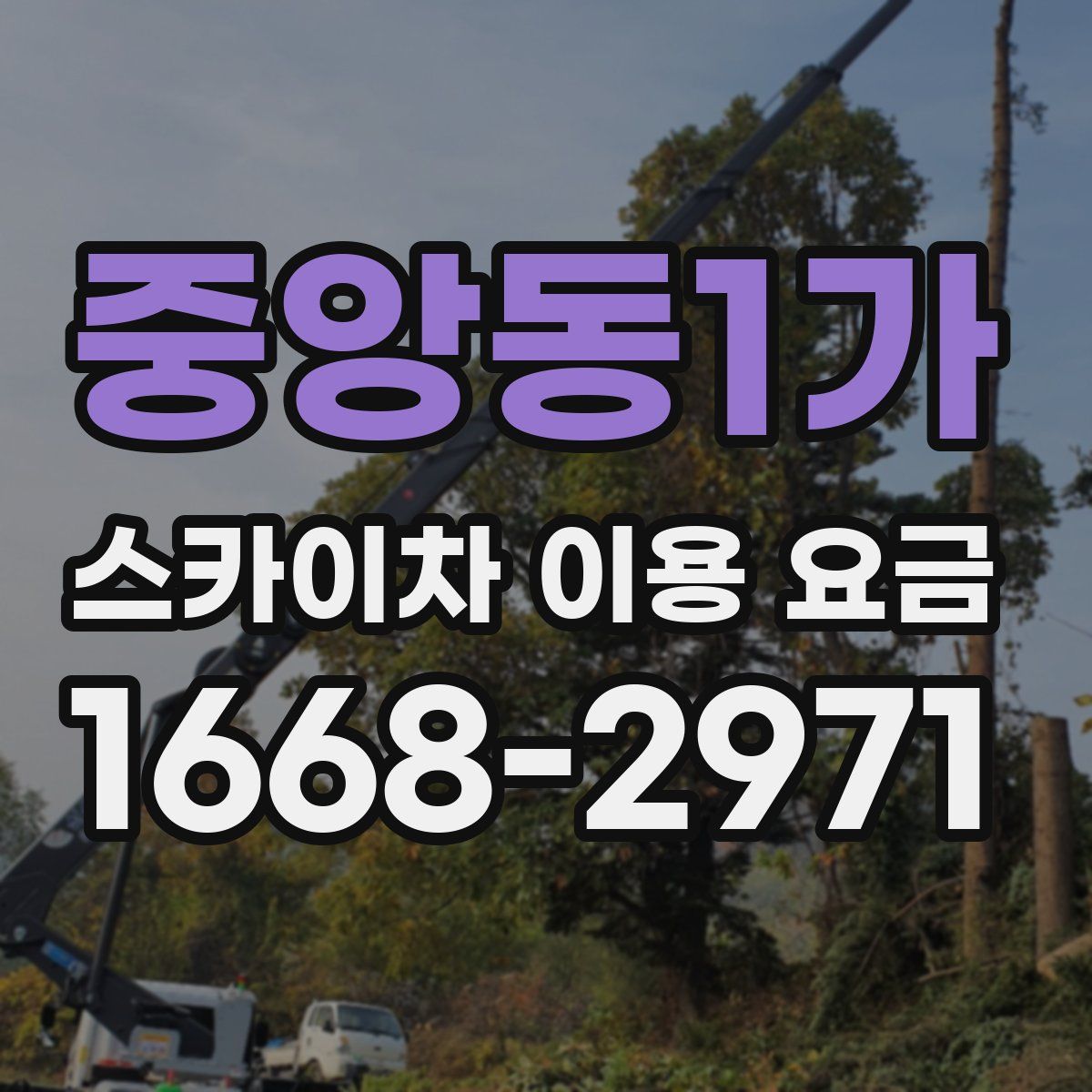 중앙동1가 스카이차 이용 요금