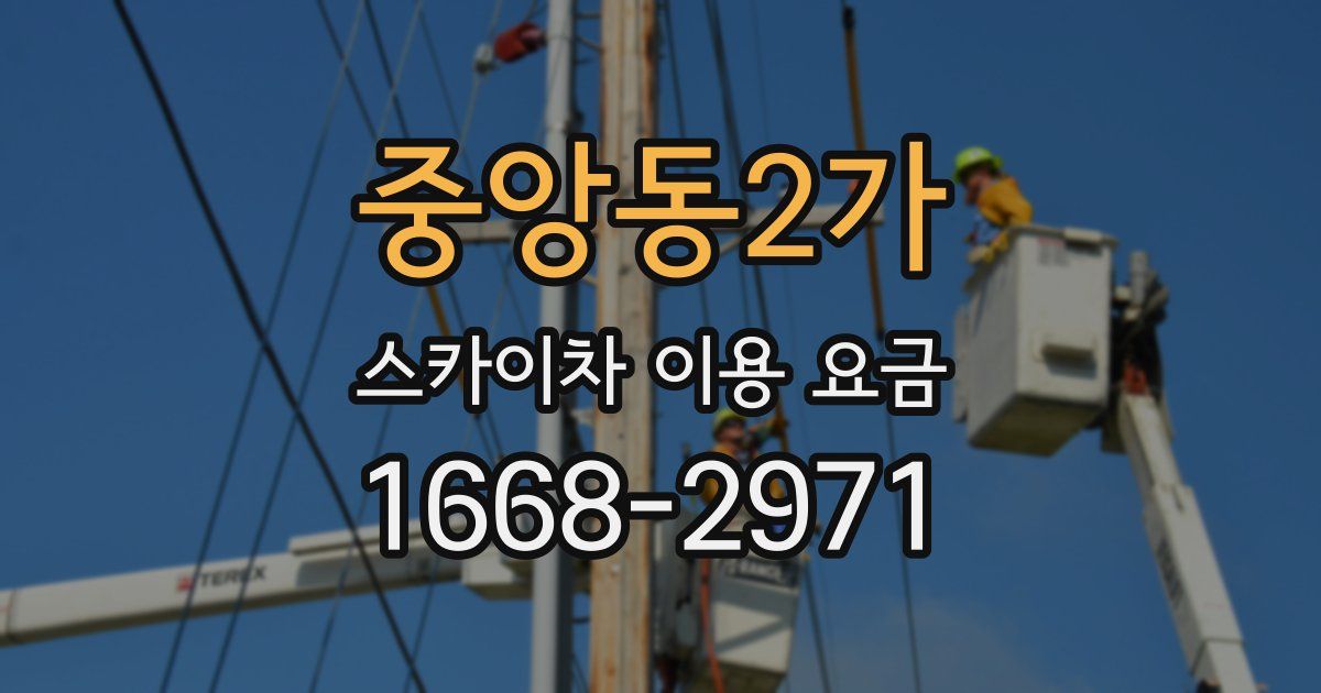 중앙동2가 스카이차 이용 요금