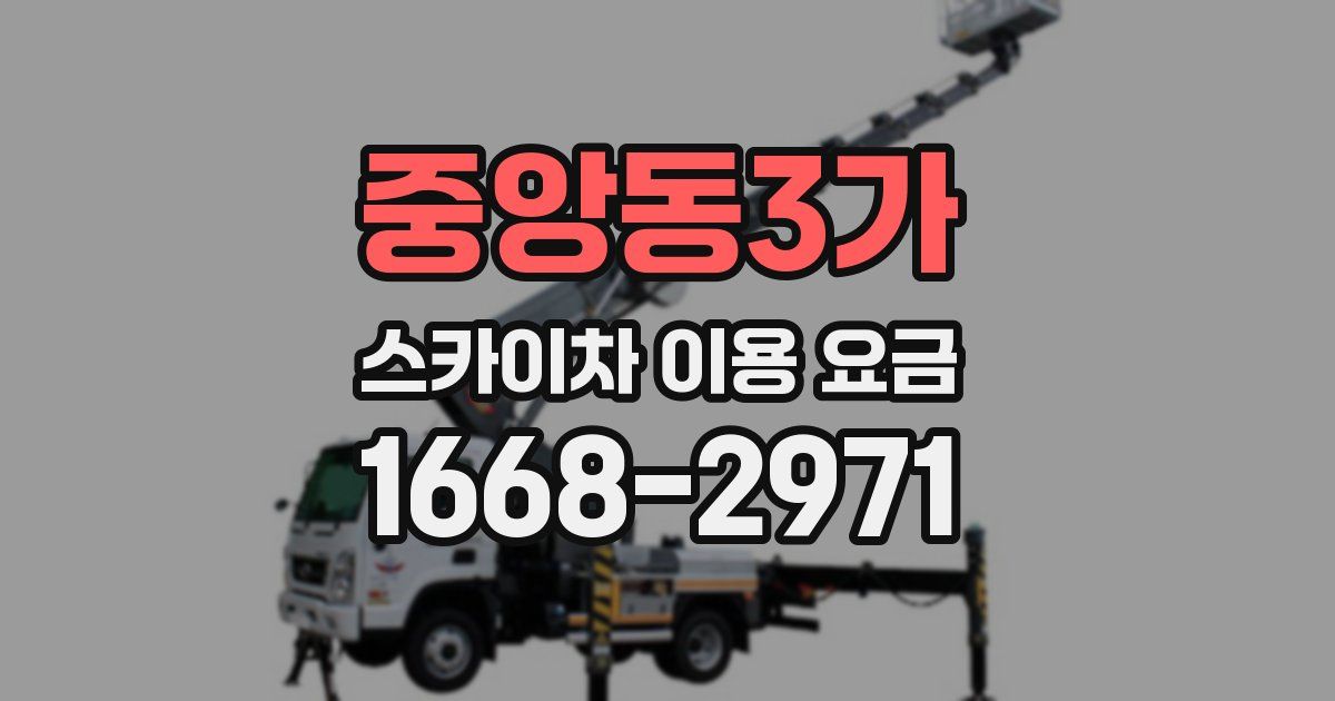중앙동3가 스카이차 이용 요금