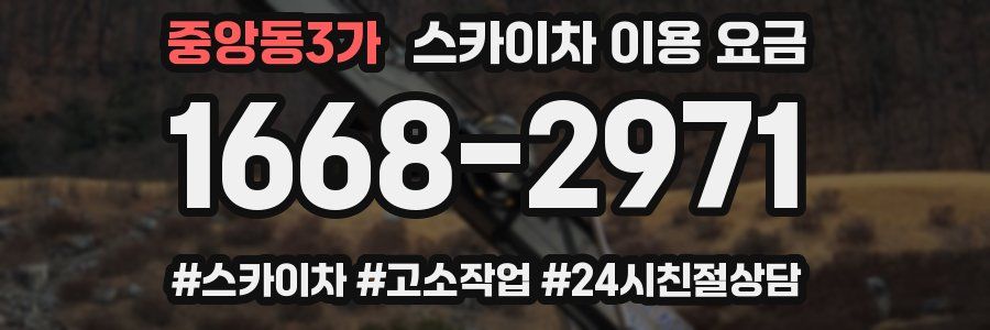 중앙동3가 스카이차 이용 요금