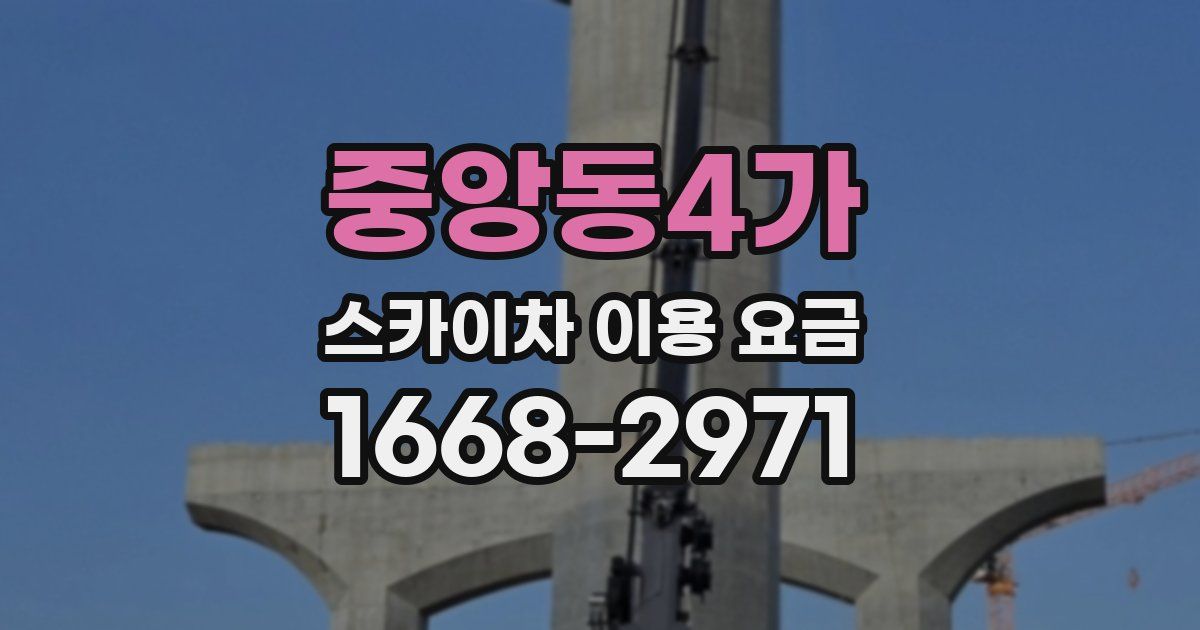중앙동4가 스카이차 이용 요금