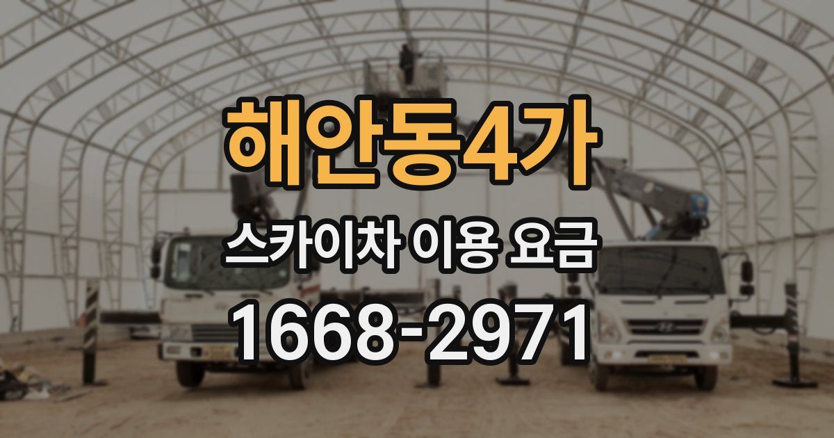 해안동4가 스카이차 이용 요금