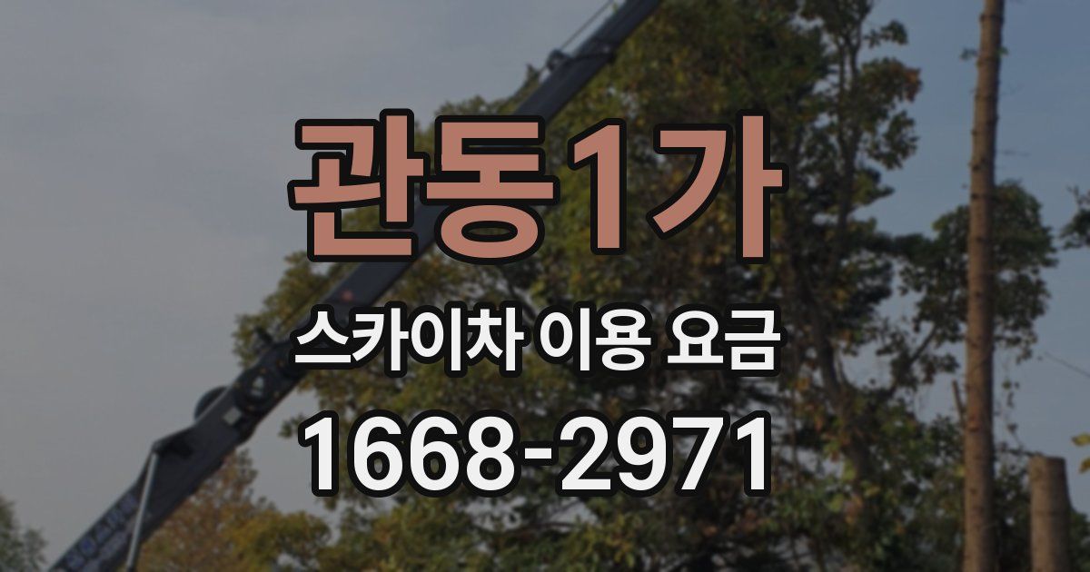 관동1가 스카이차 이용 요금