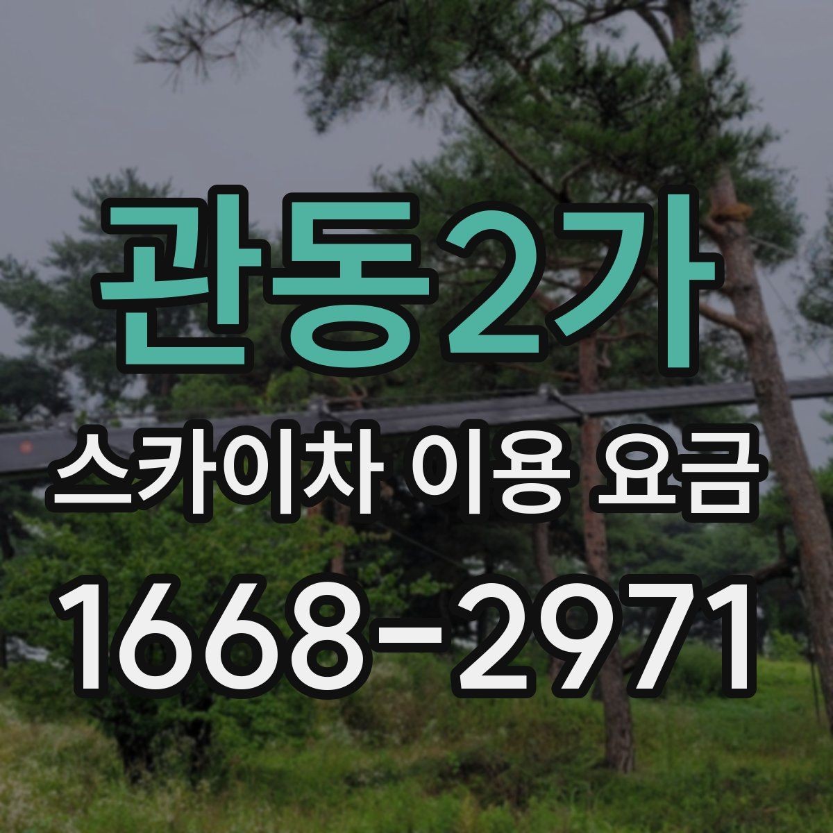 관동2가 스카이차 이용 요금 비교 후 결정할 때 고려할 점