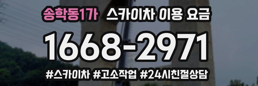 송학동1가 스카이차 이용 요금