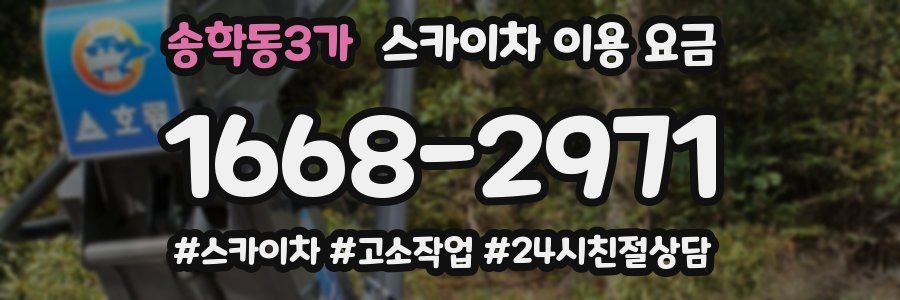 송학동3가 스카이차 이용 요금