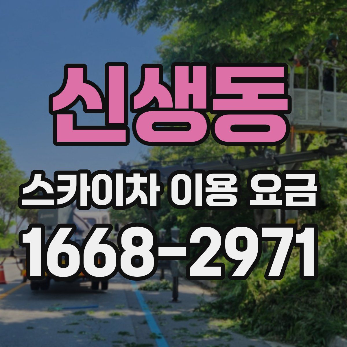 신생동 스카이차 이용 요금