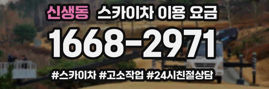 신생동 스카이차 이용 요금
