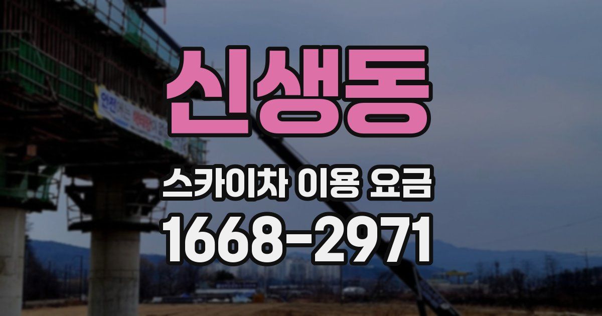신생동 스카이차 이용 요금