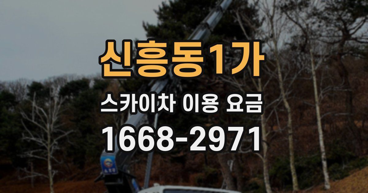 신흥동1가 스카이차 이용 요금