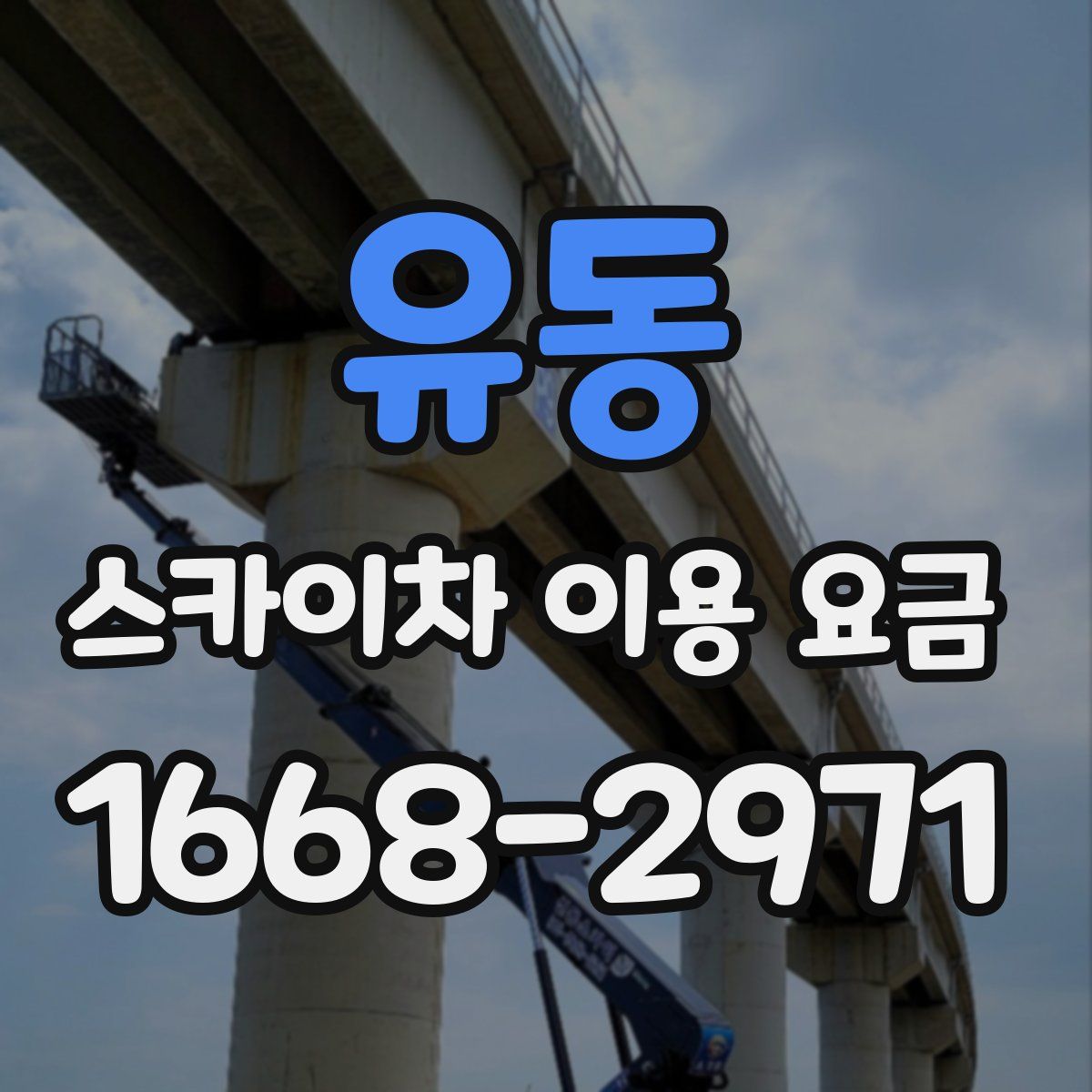 유동 스카이차 이용 요금