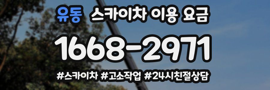 유동 스카이차 이용 요금