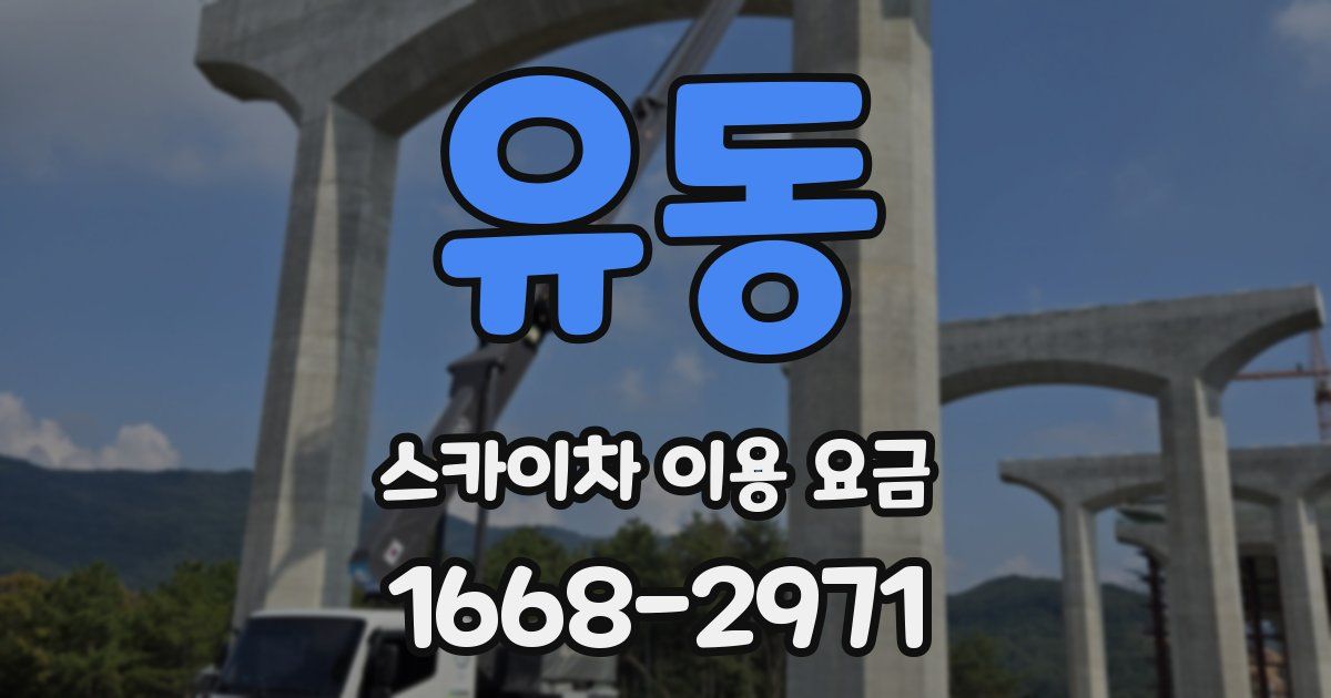 유동 스카이차 이용 요금