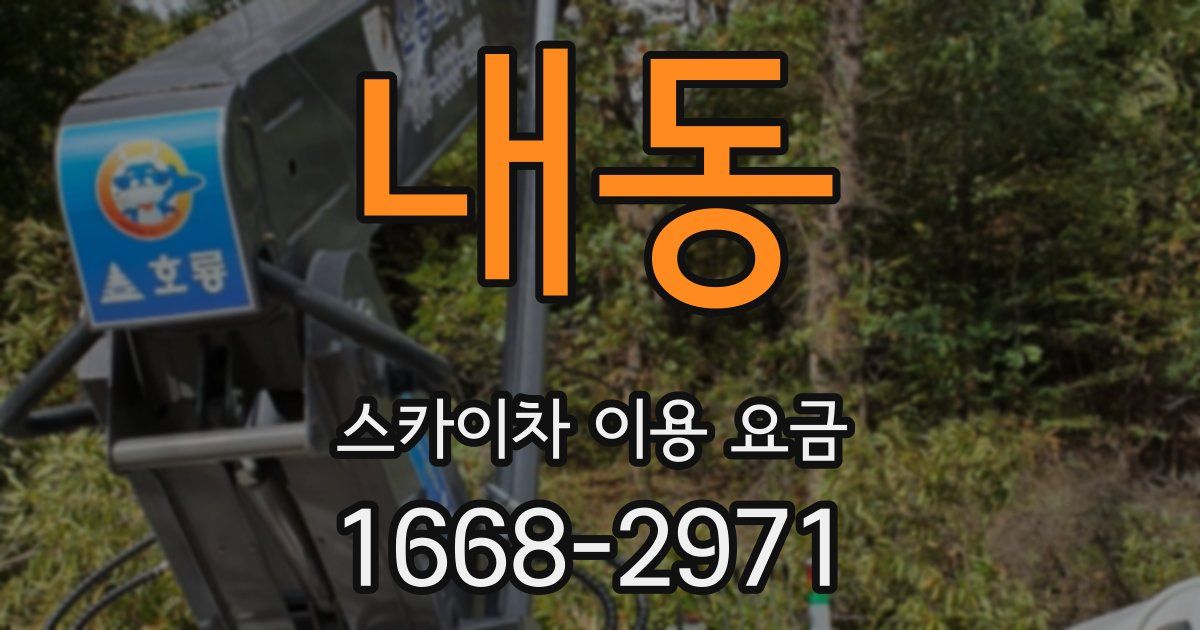 내동 스카이차 이용 요금