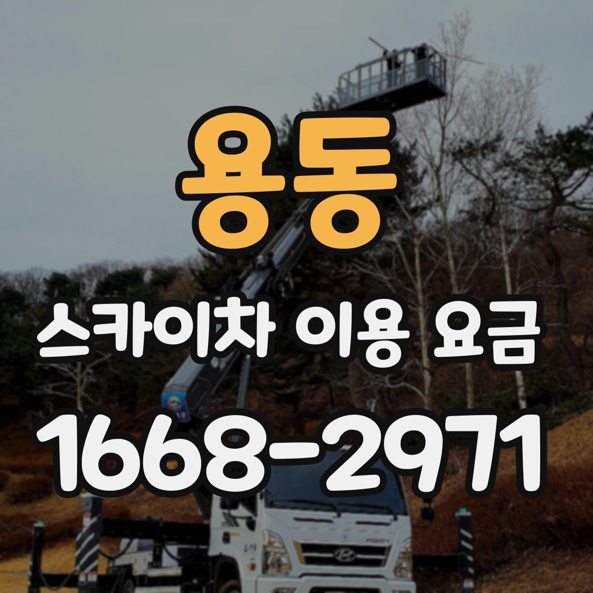 용동 스카이차 이용 요금
