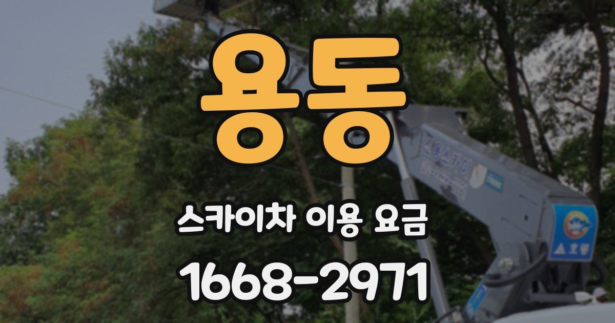 용동 스카이차 이용 요금