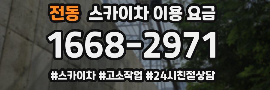 전동 스카이차 이용 요금
