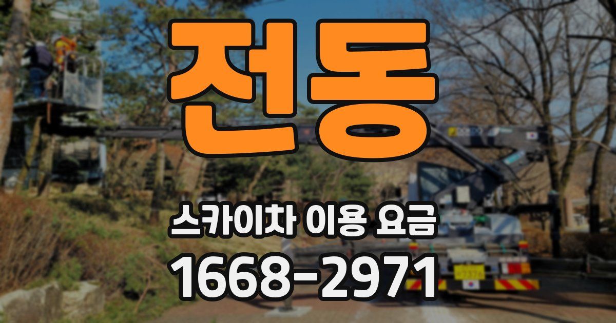 전동 스카이차 이용 요금