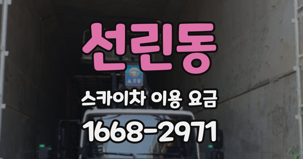 선린동 스카이차 이용 요금