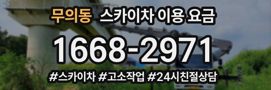 무의동 스카이차 이용 요금