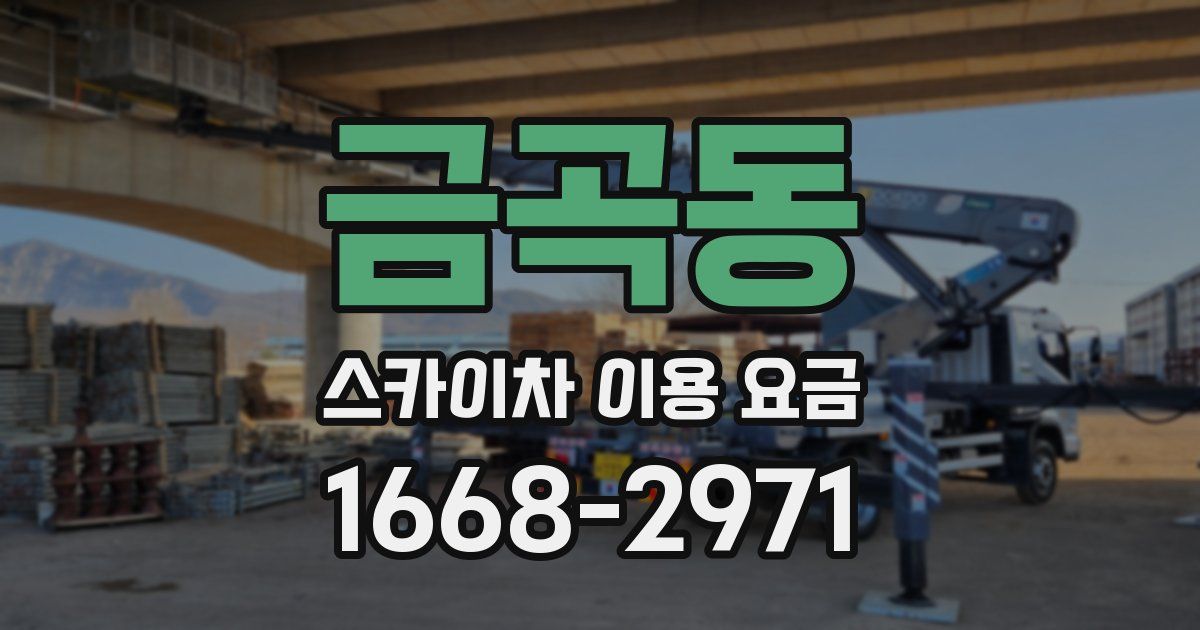 금곡동 스카이차 이용 요금