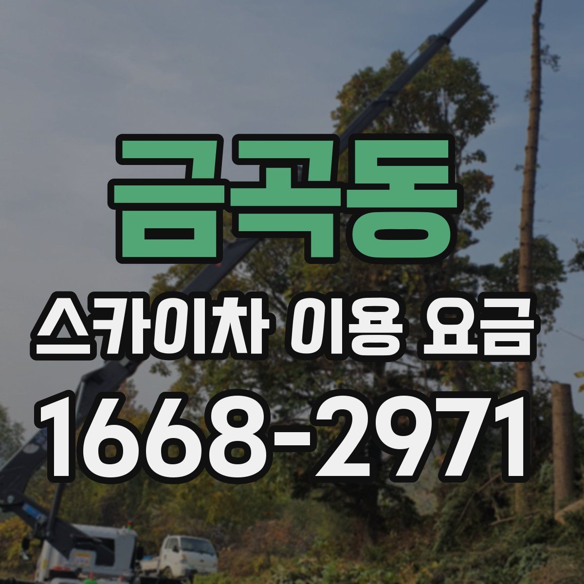 금곡동 스카이차 이용 요금