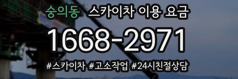숭의동 스카이차 이용 요금