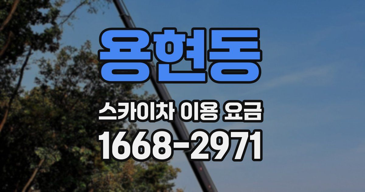 용현동 스카이차 이용 요금