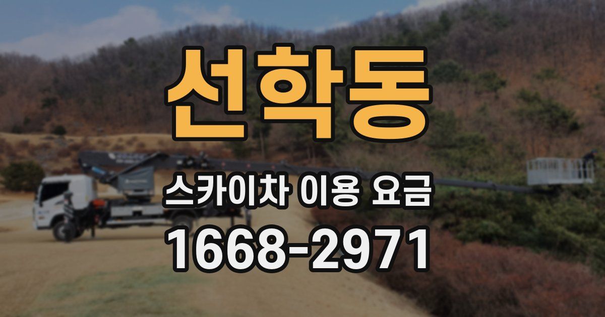 선학동 스카이차 이용 요금